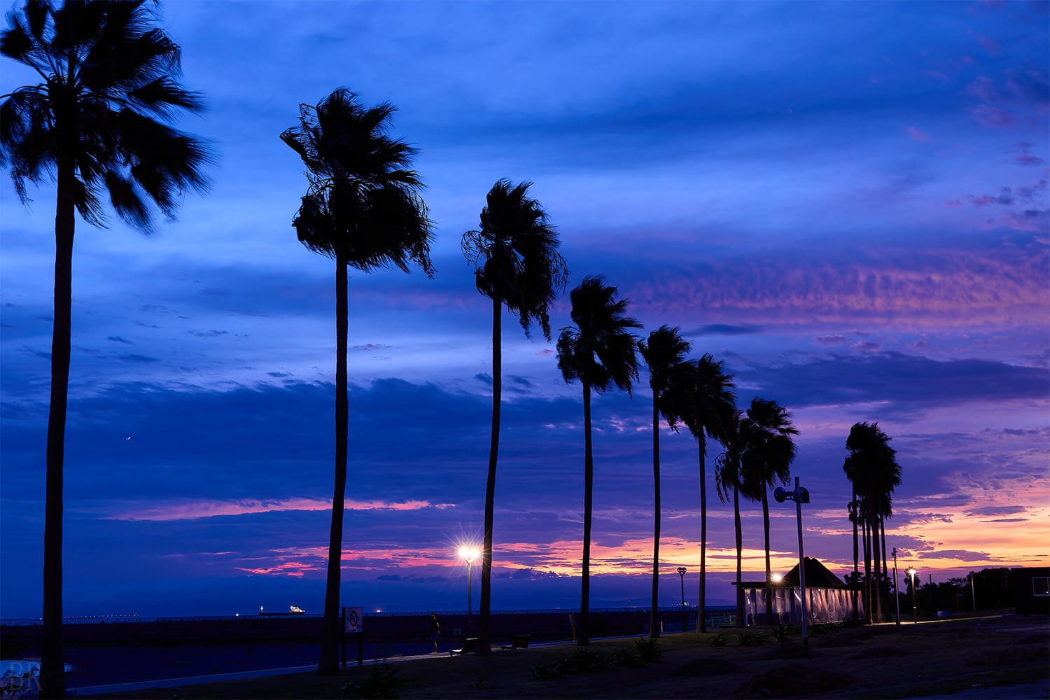 Nighttime Relaxation