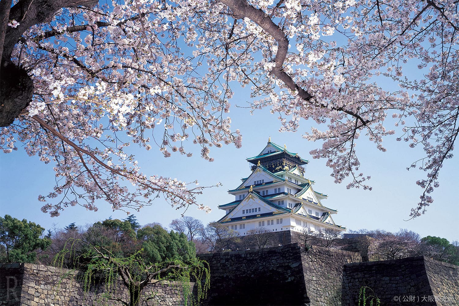 After Check-out, Head to Osaka Castle Park