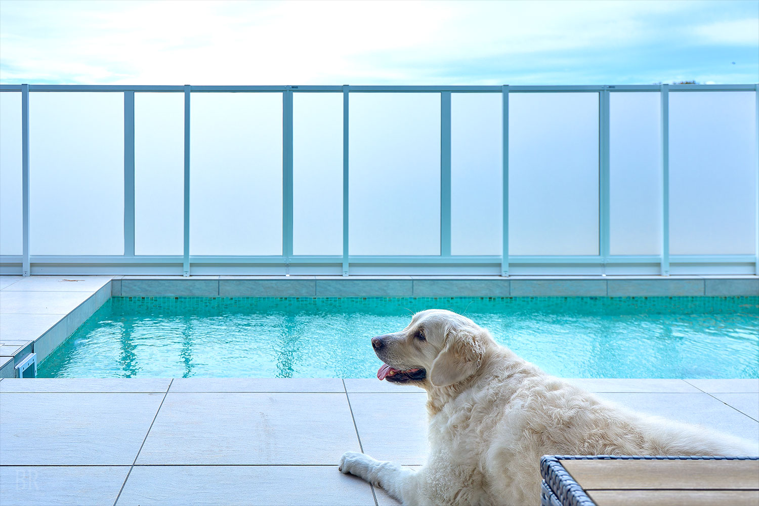 Dog-friendly Ocean Garden