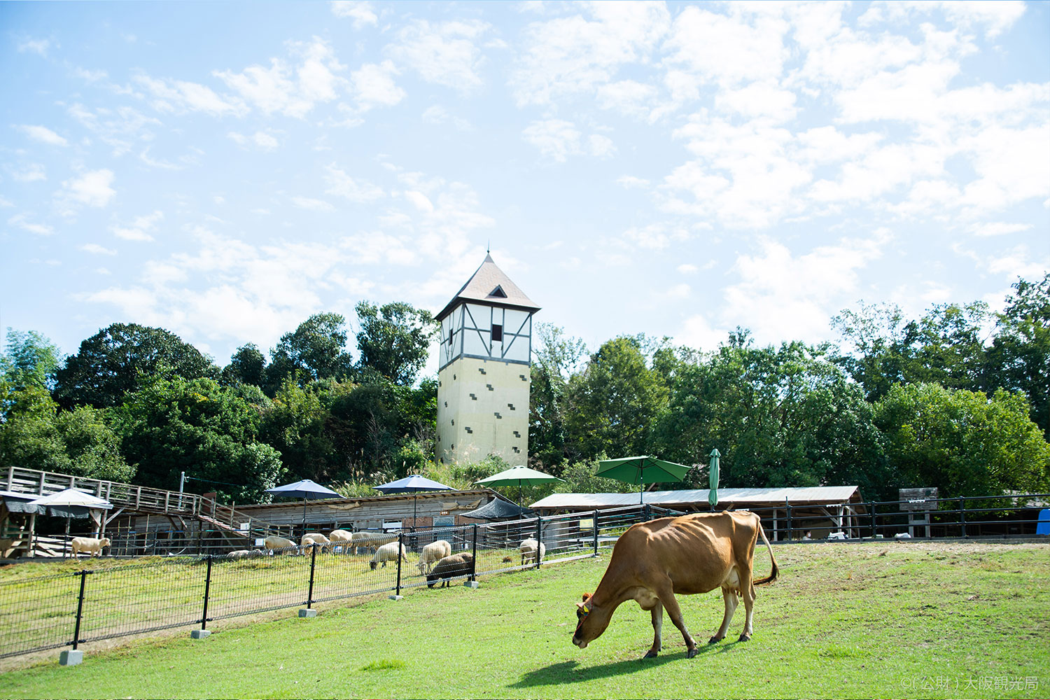 A variety of hands-on facilities nearby!